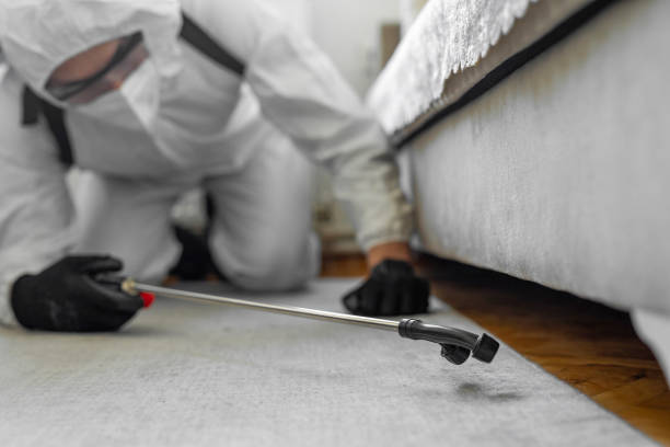Professional Bed Bug Control technician working in Bucks County County, PA